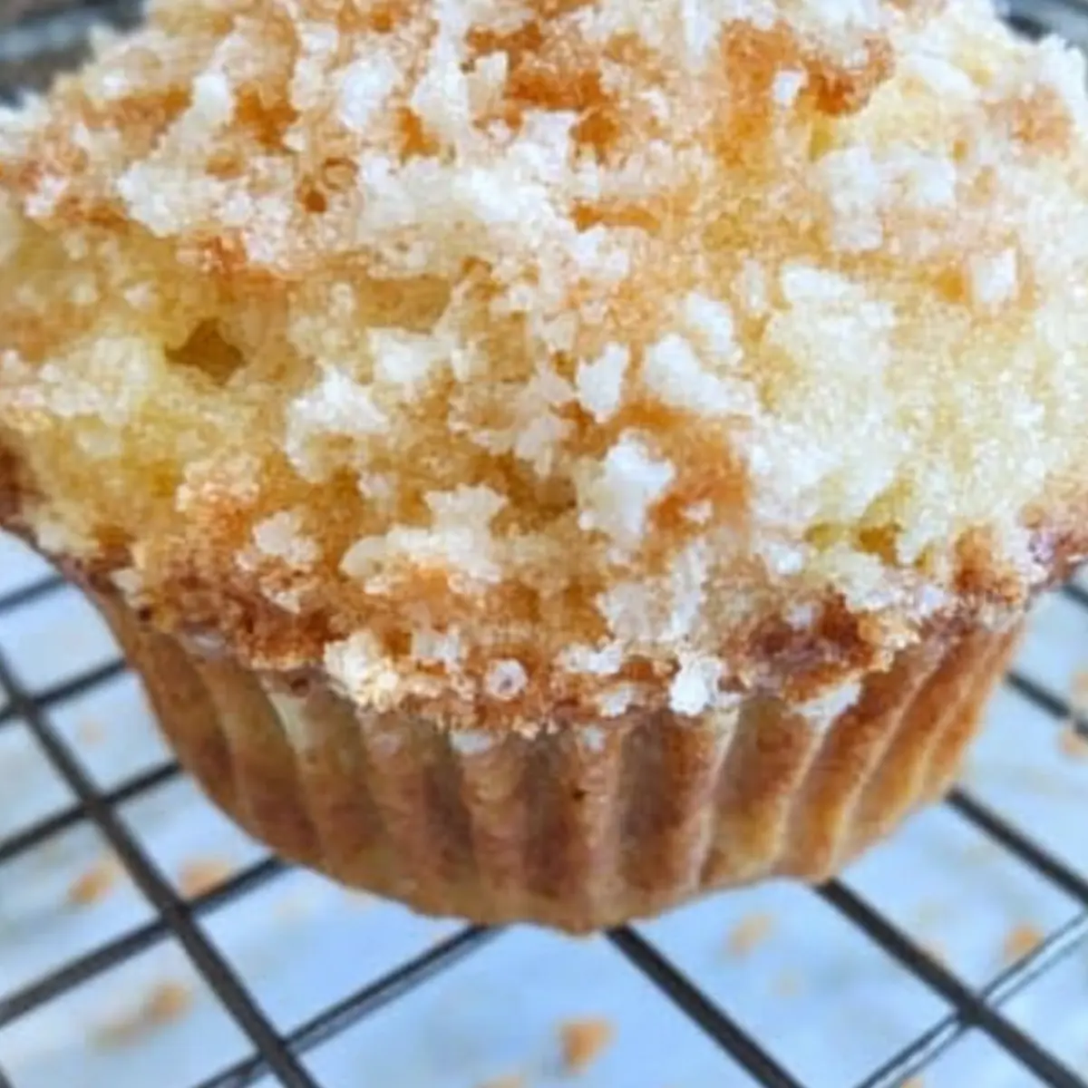 Pina Colada Muffins with Coconut Streusel Topping