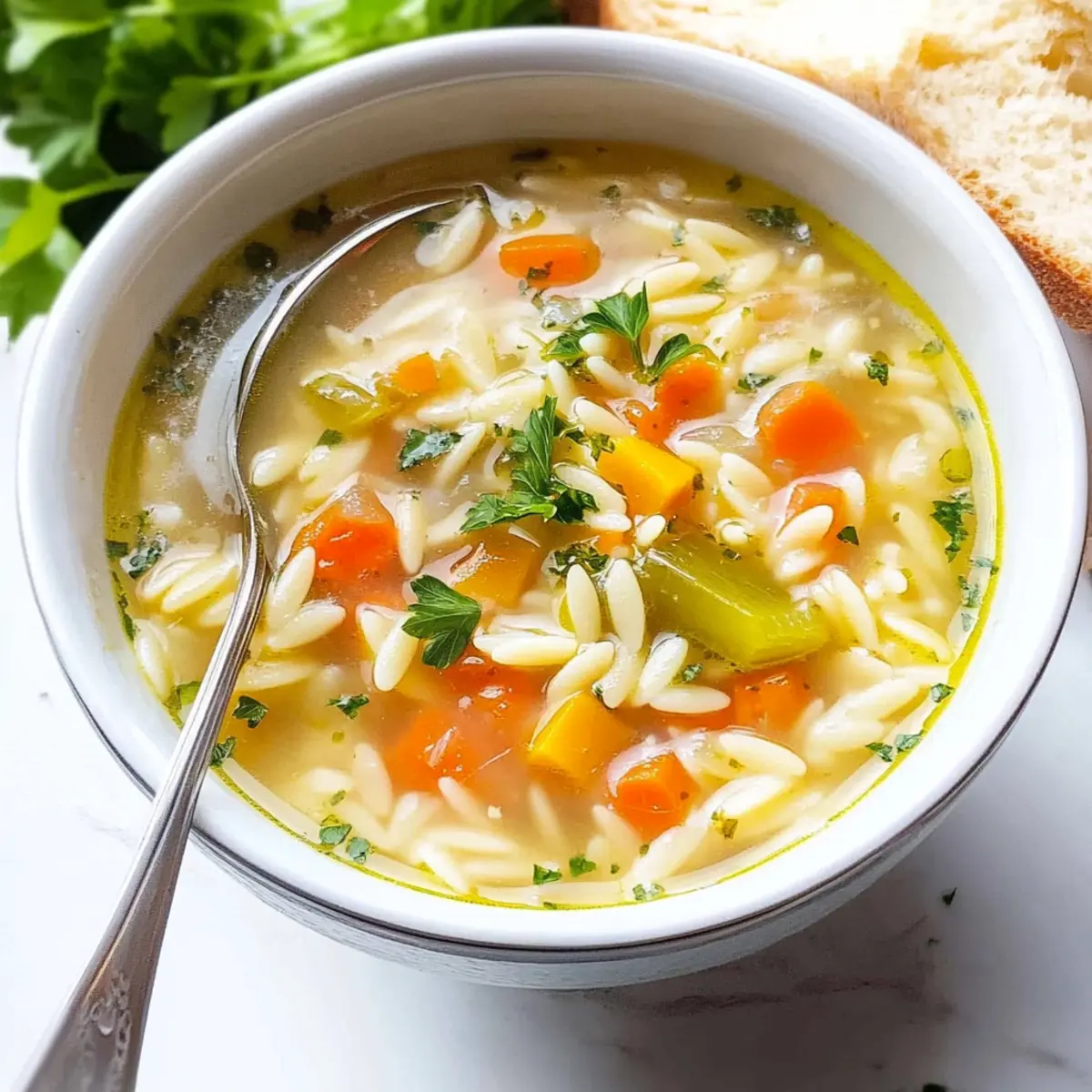 Orzo Soup